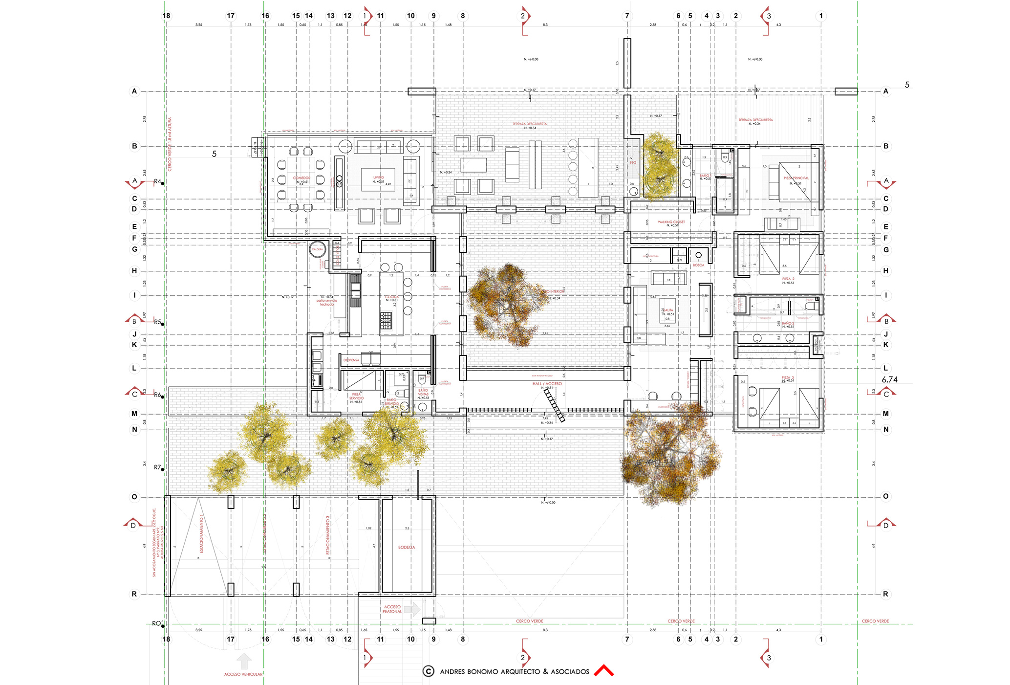 planta-gf